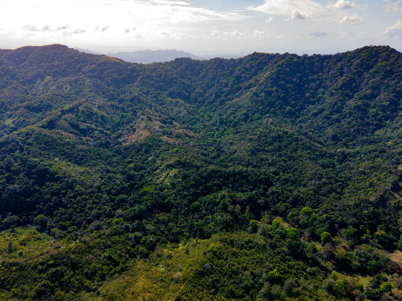 Hermosa Finca en Quebrada Bonita Buena Vista Colón
