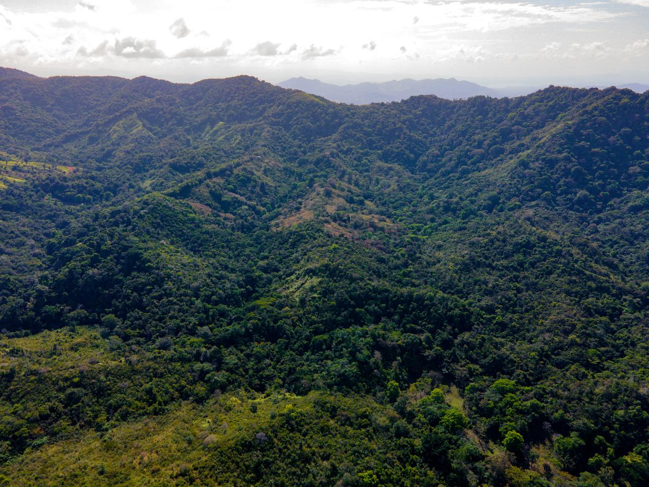 Hermosa Finca en Quebrada Bonita Buena Vista Colón