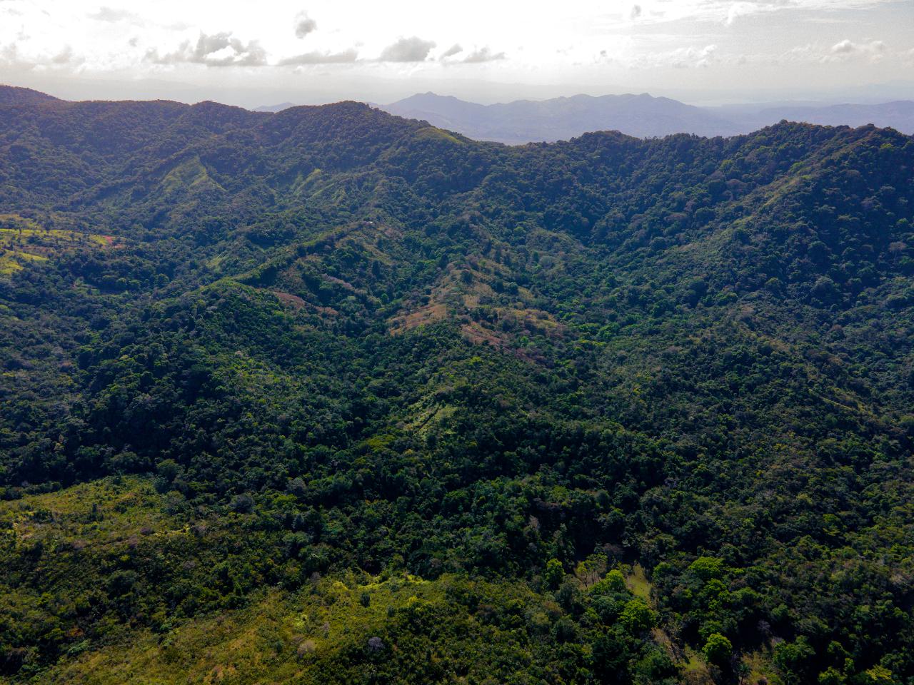 Hermosa Finca en Quebrada Bonita Buena Vista Colón