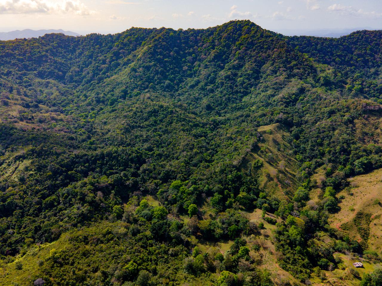 Hermosa Finca en Quebrada Bonita Buena Vista Colón