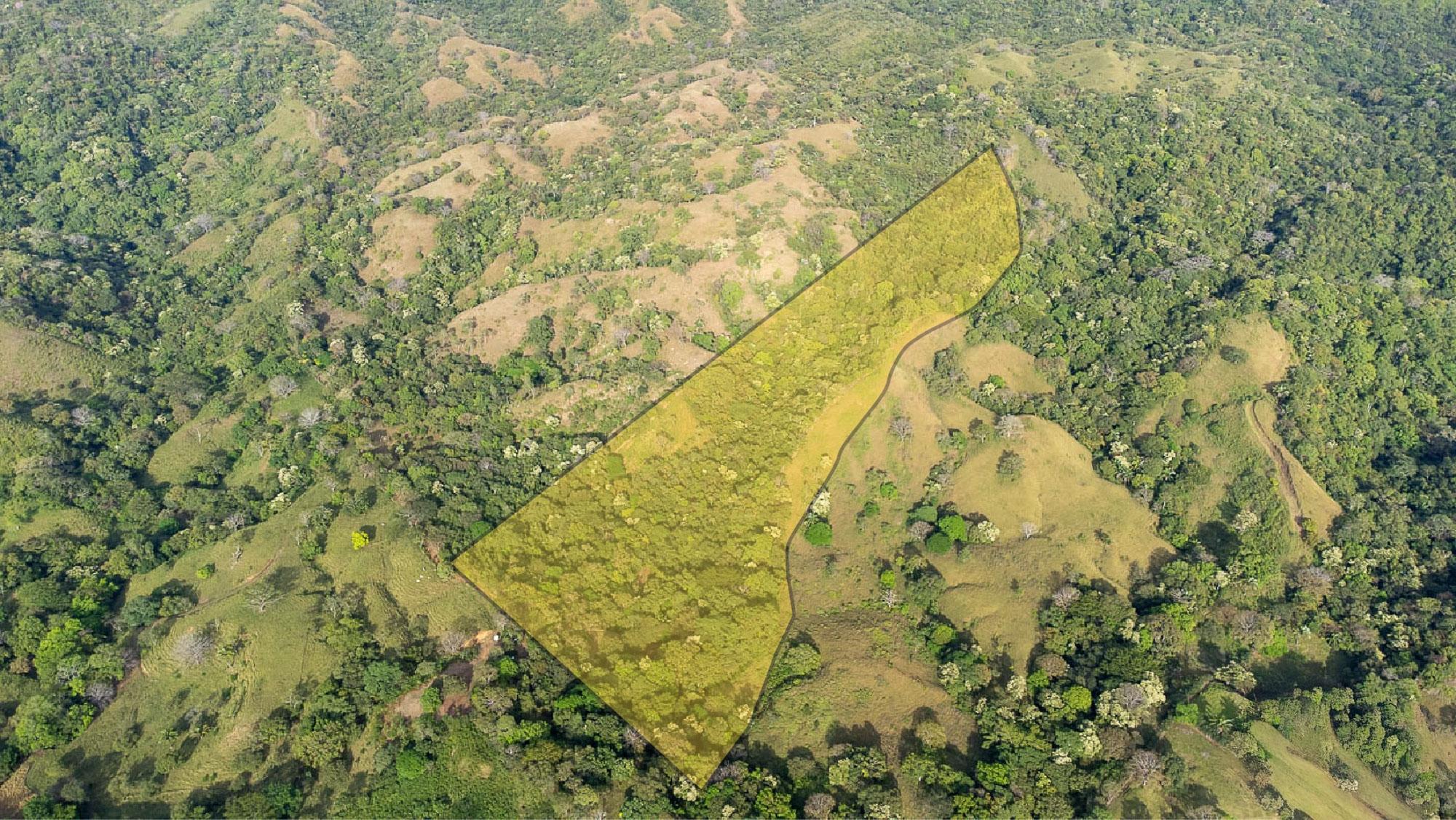 EXHUBERANTE PROPIEDAD EN VENTA CERCA DEL PUEBLO DE CAMBUTAL