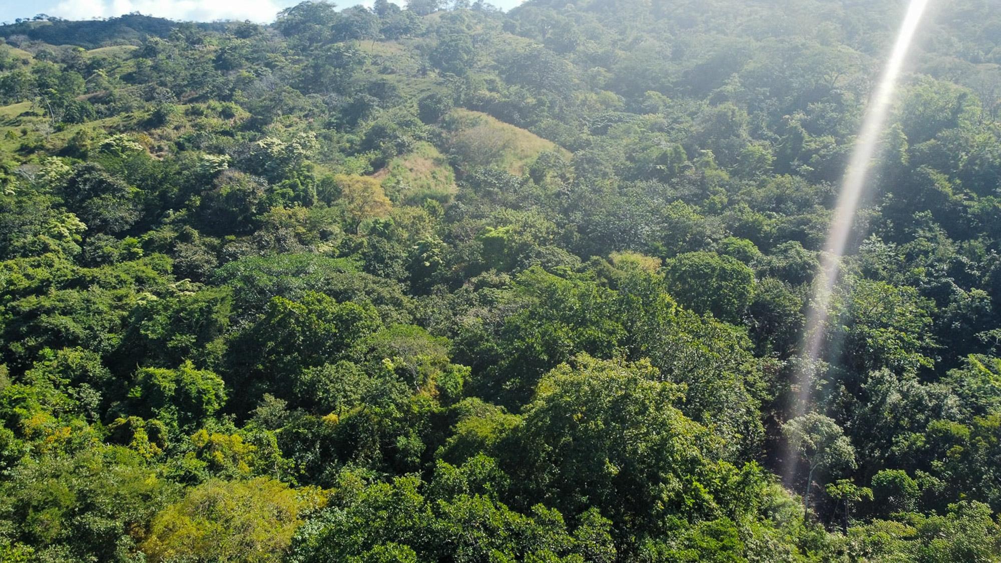 EXHUBERANTE PROPIEDAD EN VENTA CERCA DEL PUEBLO DE CAMBUTAL
