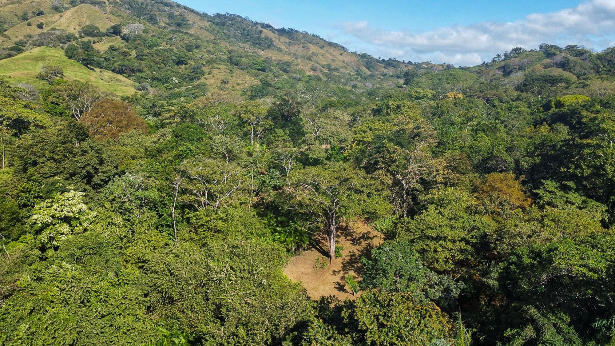 EXHUBERANTE PROPIEDAD EN VENTA CERCA DEL PUEBLO DE CAMBUTAL