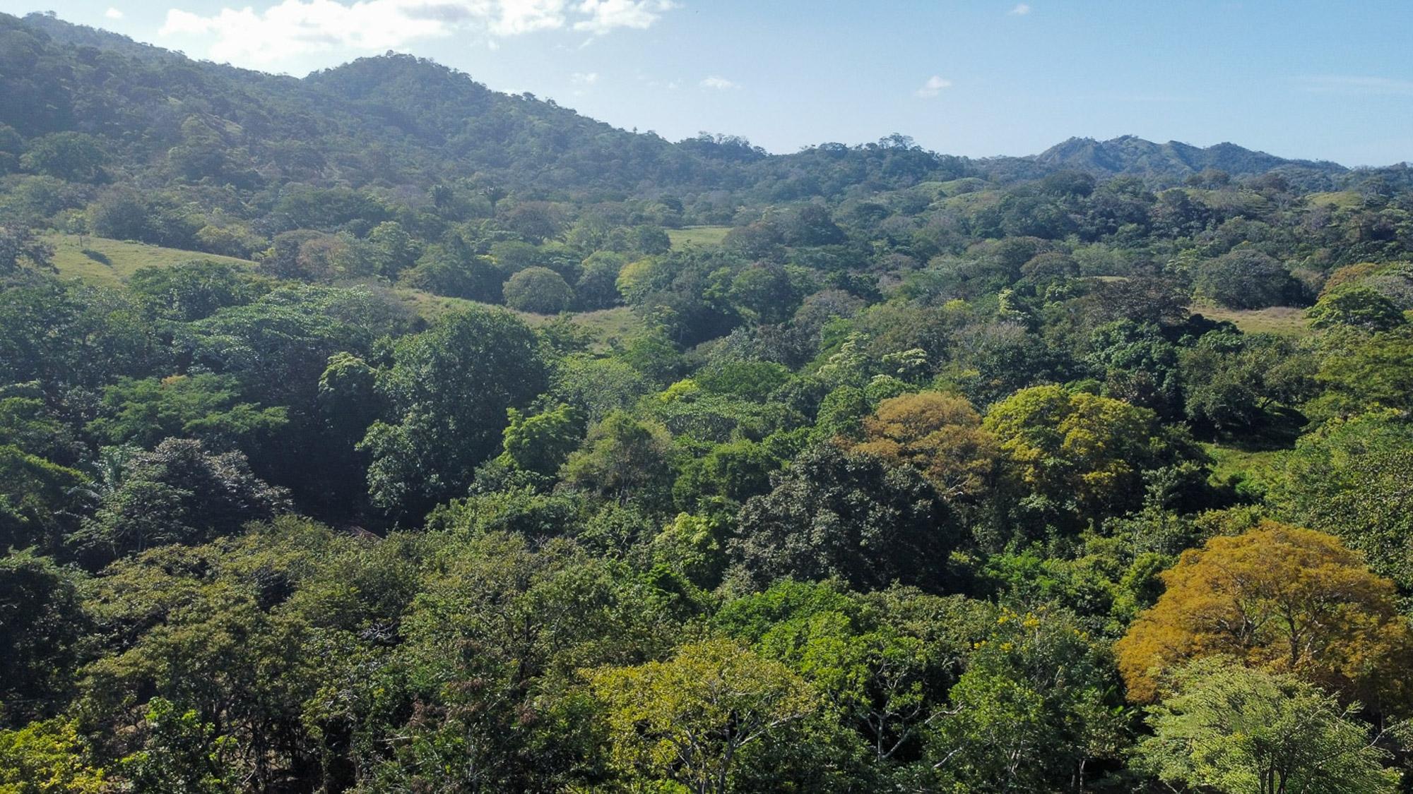 EXHUBERANTE PROPIEDAD EN VENTA CERCA DEL PUEBLO DE CAMBUTAL