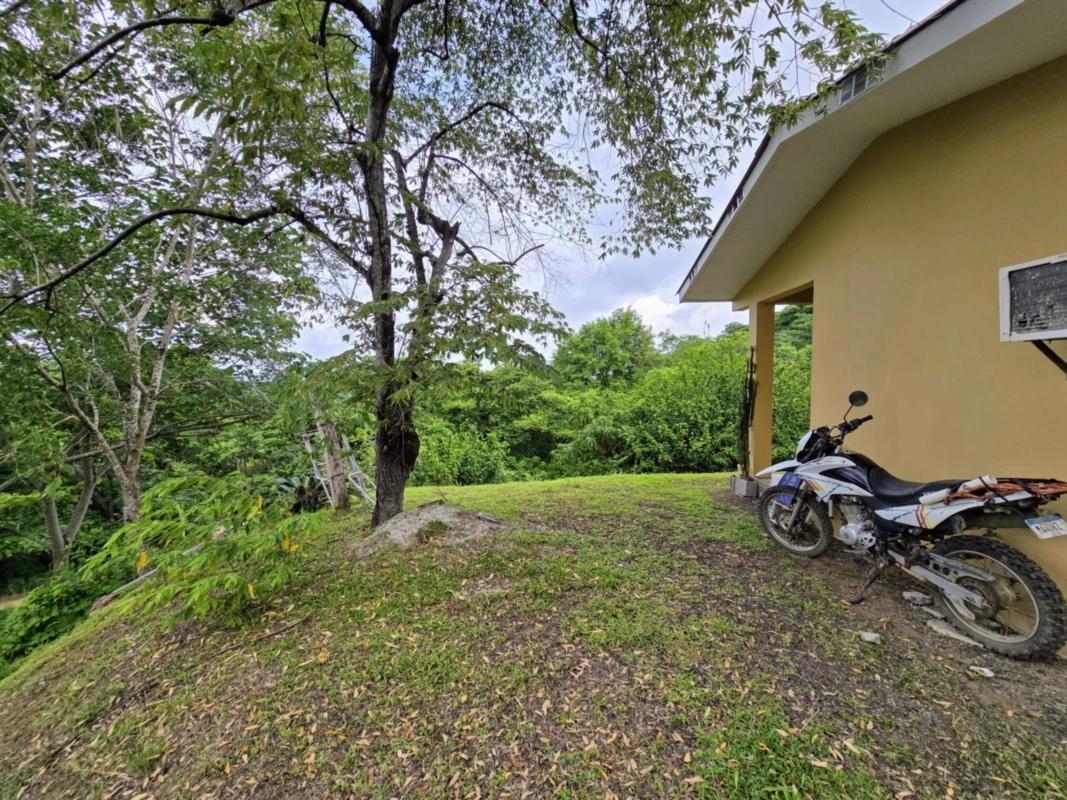 LOTE CÉNTRICO CON 2 ESTUDIOS EN ALQUILER