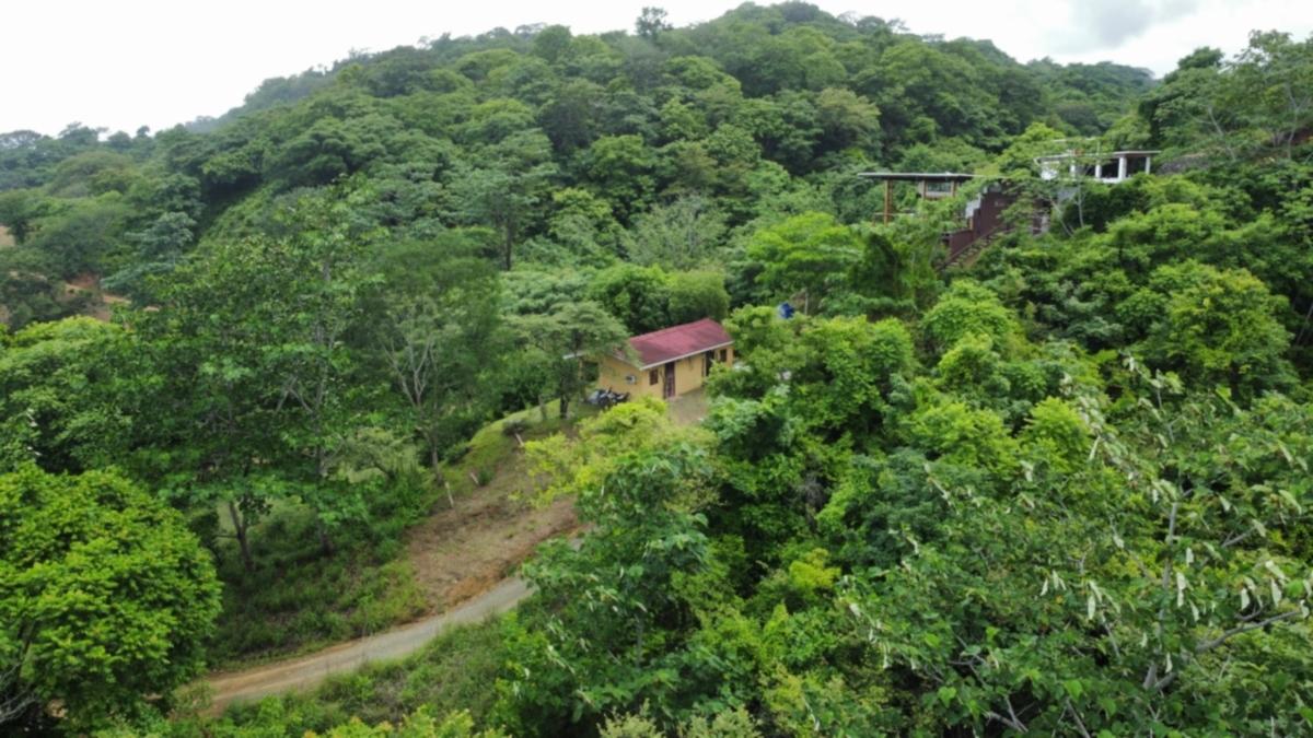 LOTE CÉNTRICO CON 2 ESTUDIOS EN ALQUILER