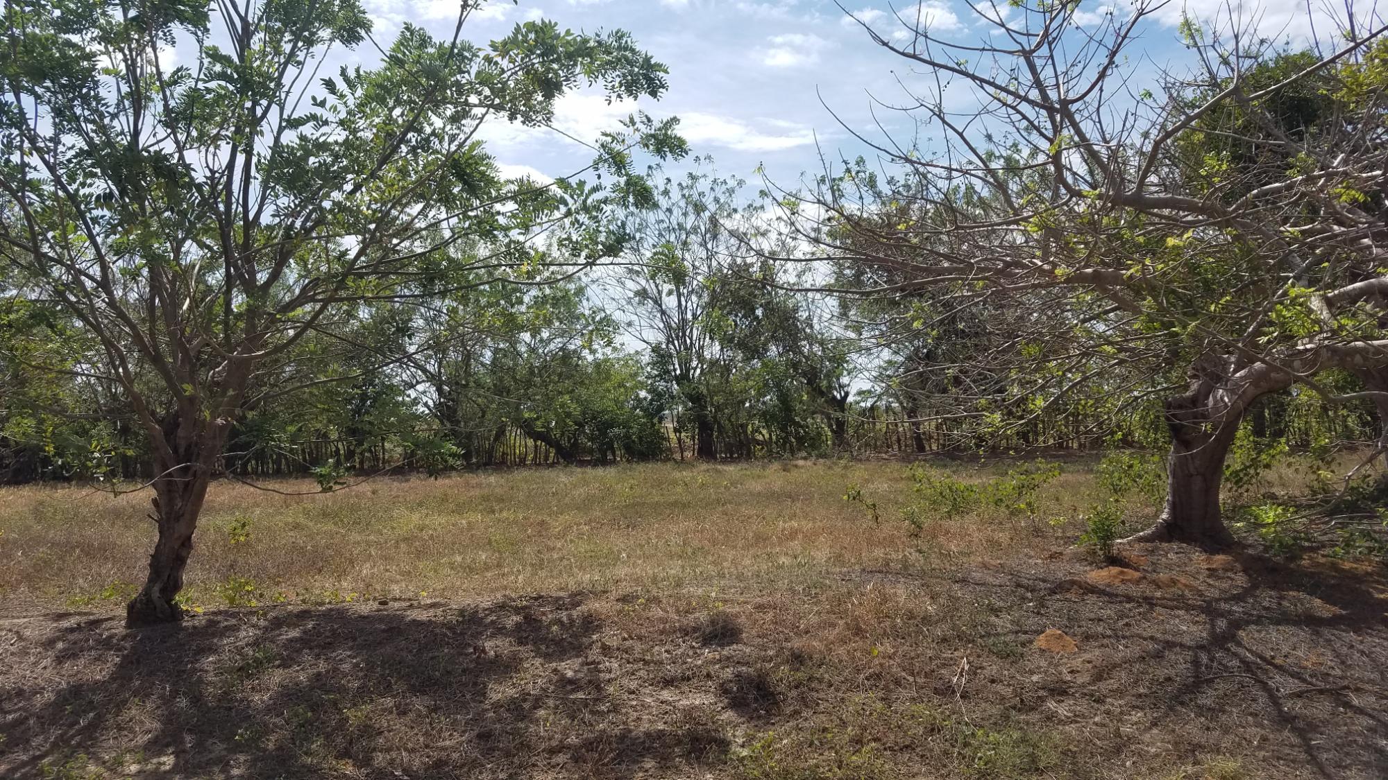 Lote de 1.4 hectáreas con casa de campo en Río Hato