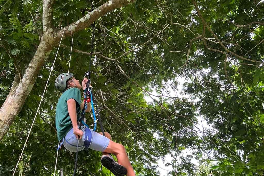 Oportunidad de inversión ultra rara en el Canal de Panamá