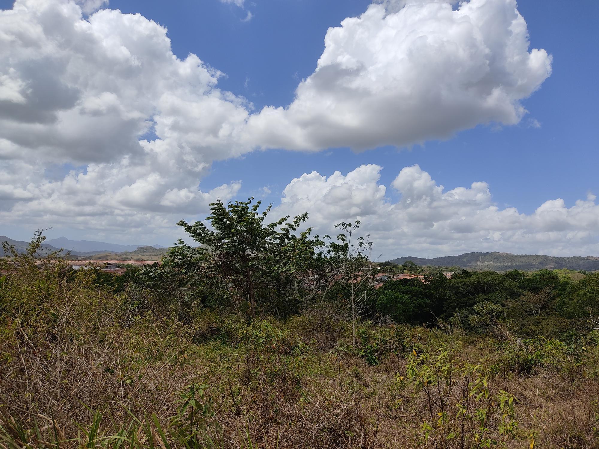 Oportunidad Terreno para Desarrollo Inmobiliario en La Mitra, Chorrera