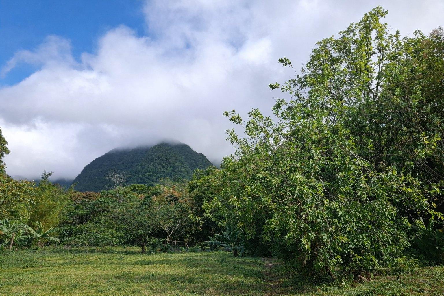 ¡Lote de montaña excepcional en El Valle De Anton!