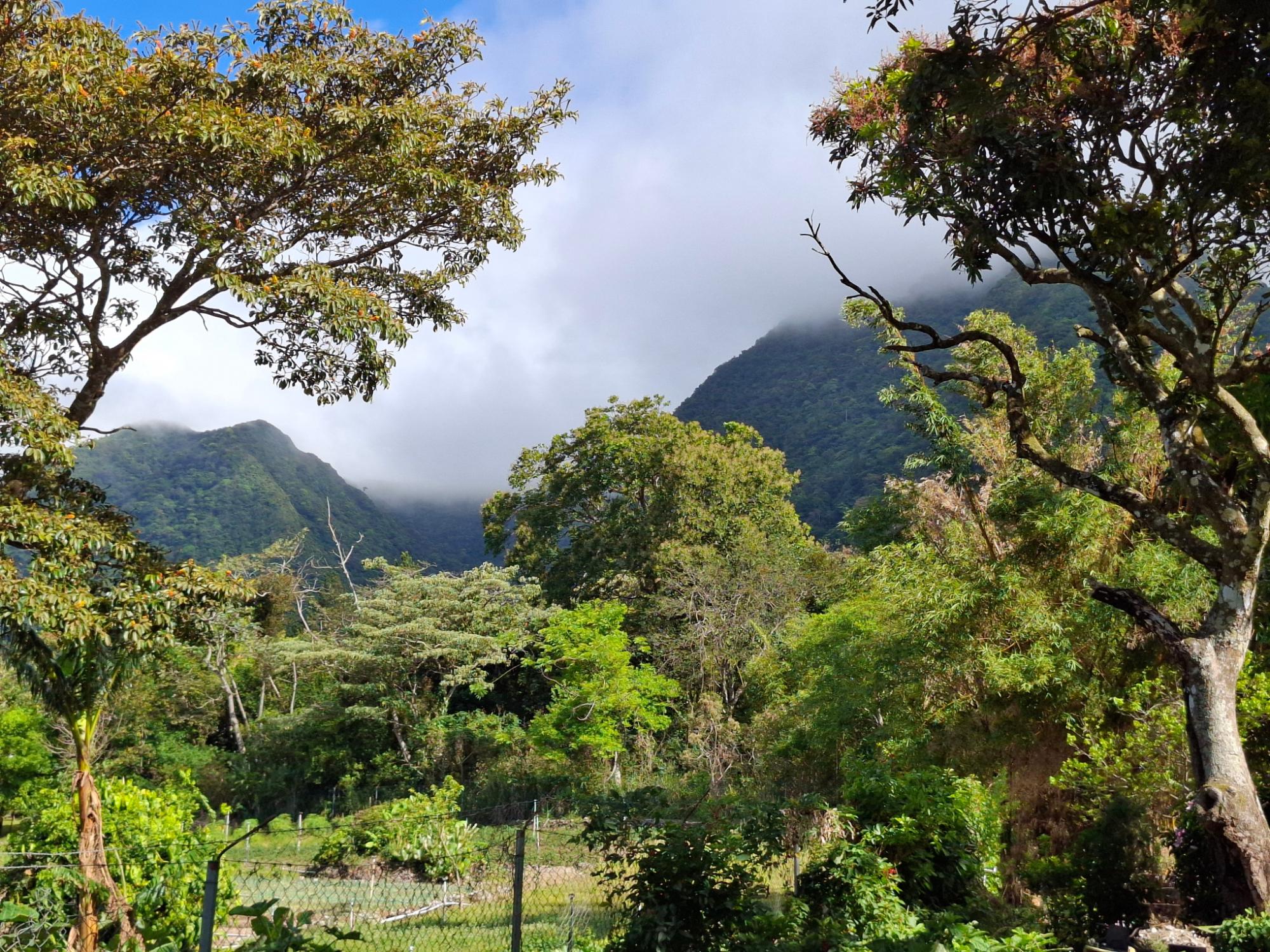 ¡Lote de montaña excepcional en El Valle De Anton!