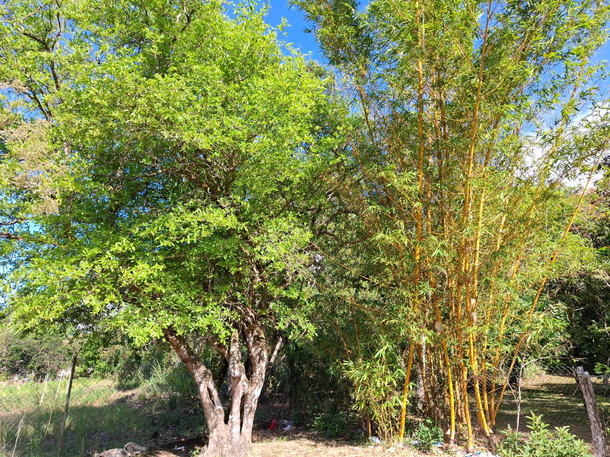 ¡Lote de montaña excepcional en El Valle De Anton!