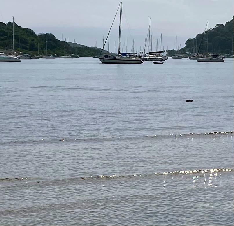 Terreno frente al mar Caribe en Panamá