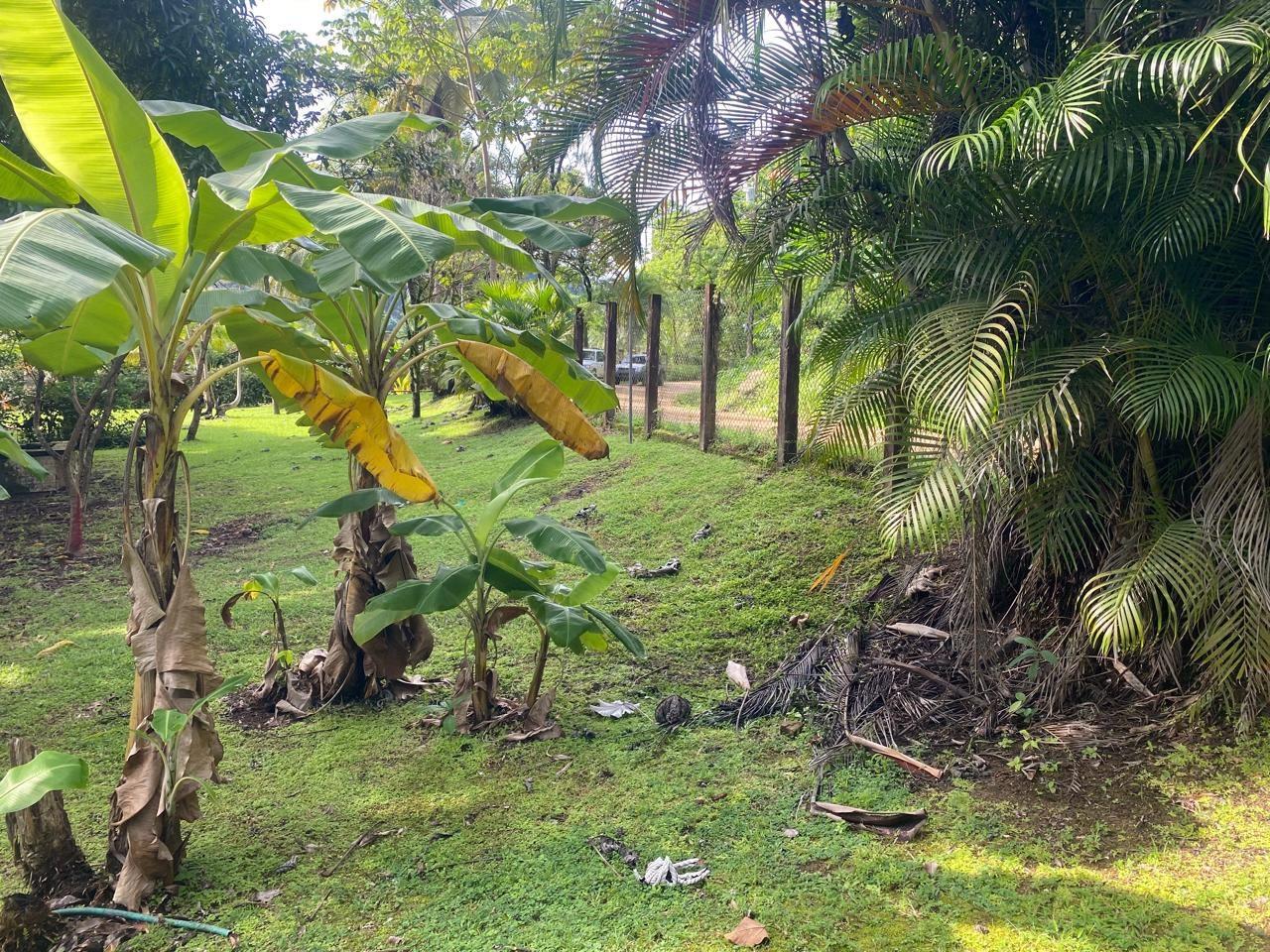 Terreno frente al mar Caribe en Panamá