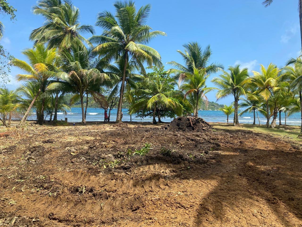 Terreno frente al mar Caribe en Panamá
