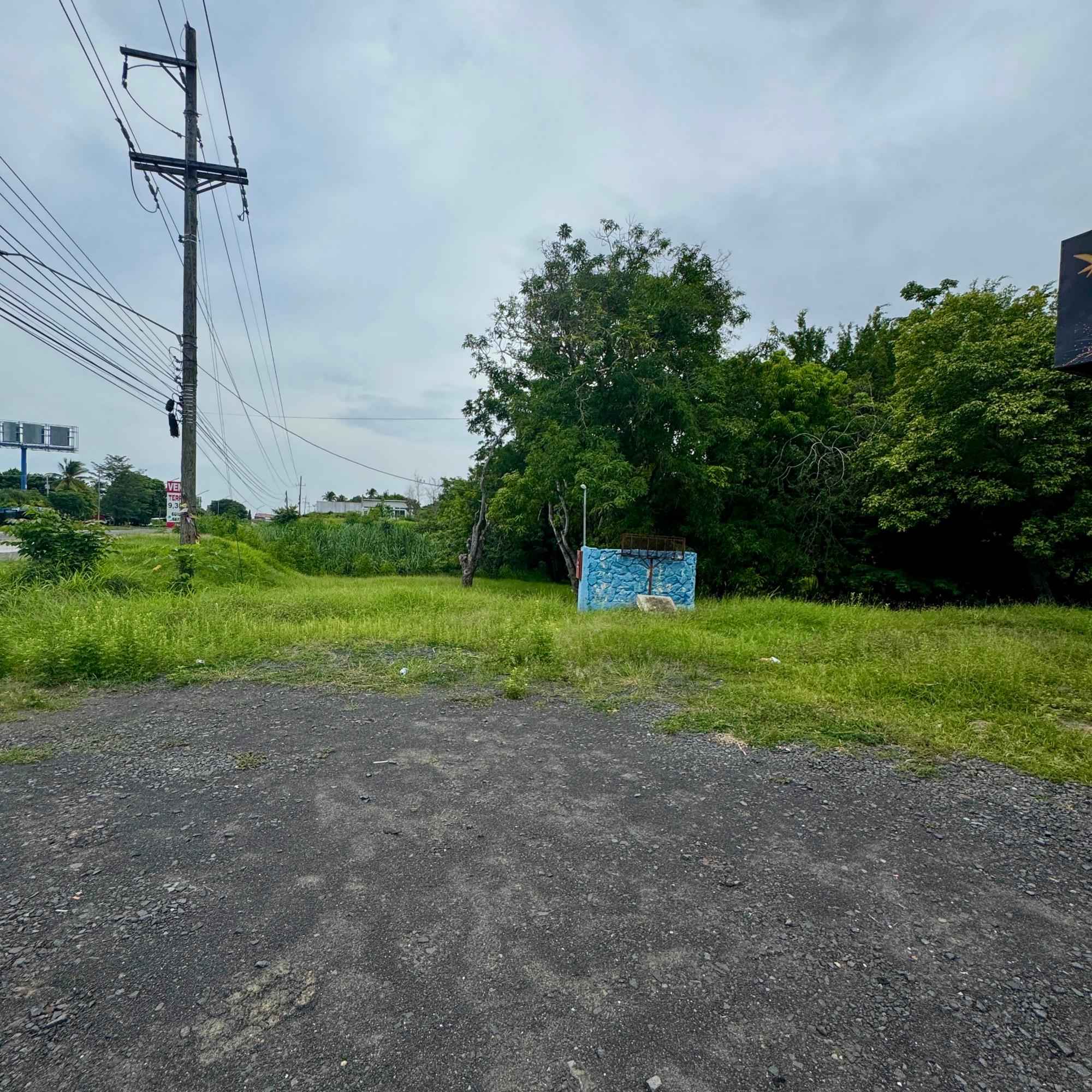 Venta de terreno comercial sobre la Interamericana en Coronado