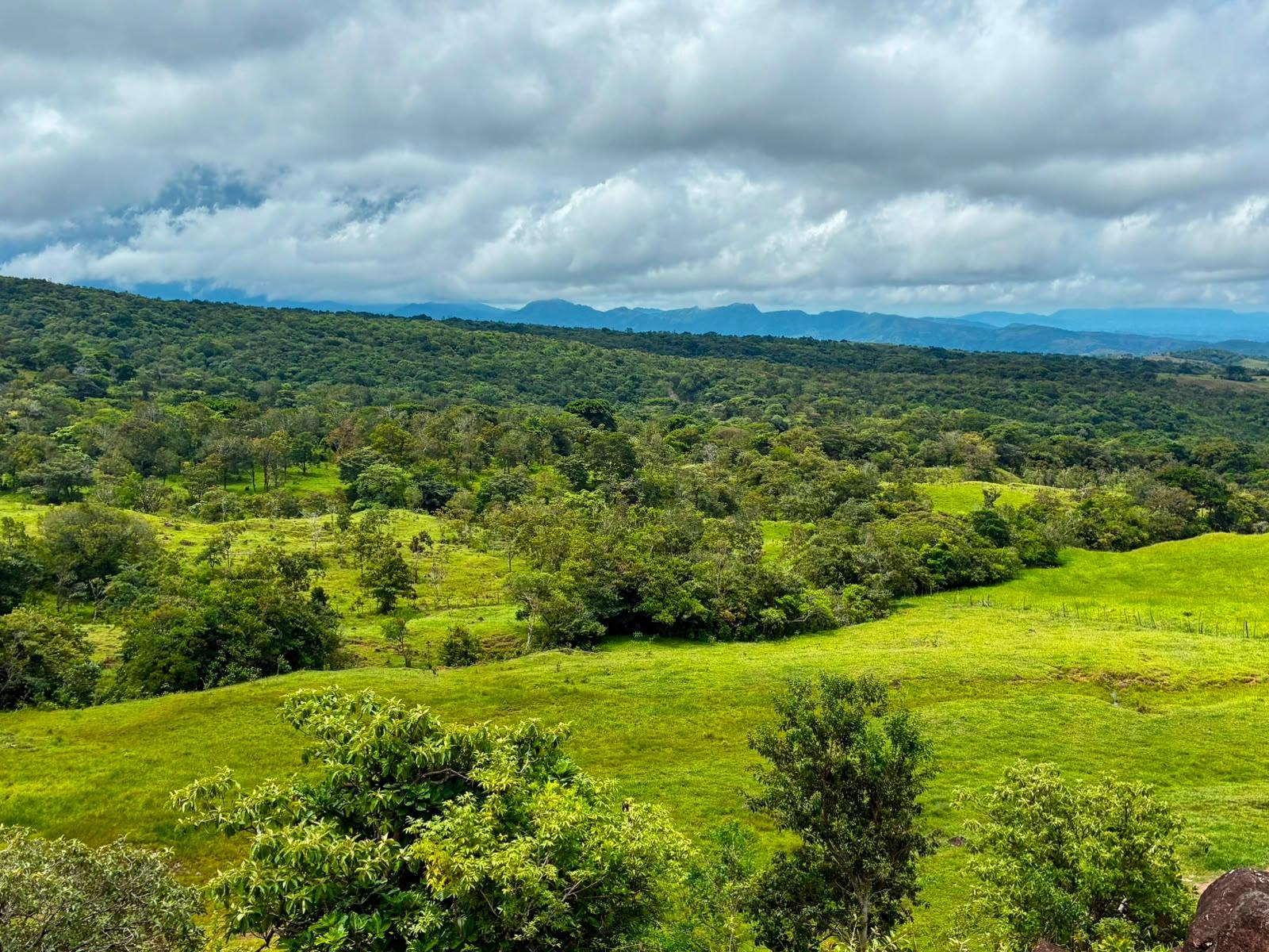 SE VENDE HERMOSA FINCA DE 16+ HECTAREAS EN JARAMILLO, BOQUETE