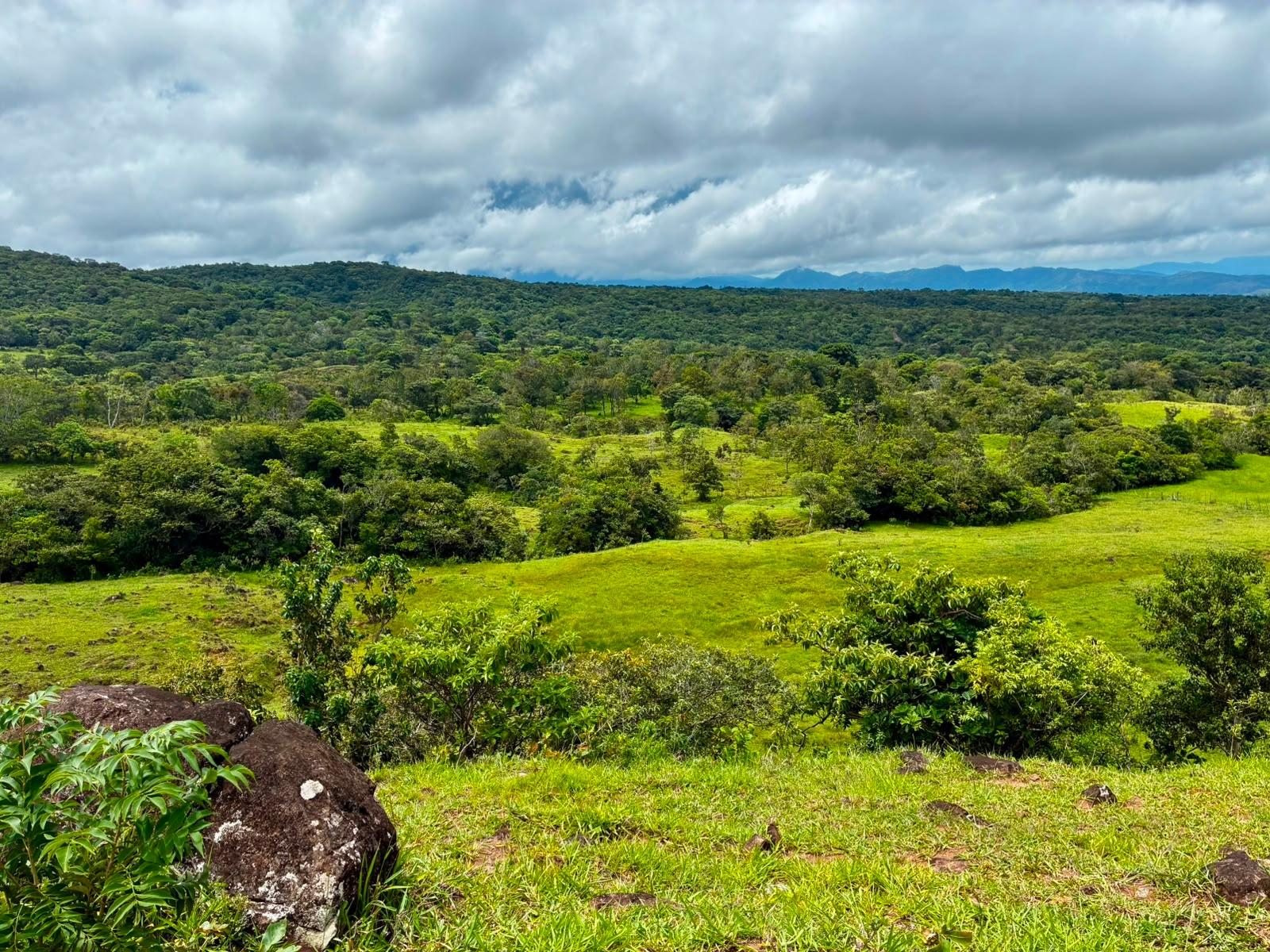 SE VENDE HERMOSA FINCA DE 16+ HECTAREAS EN JARAMILLO, BOQUETE