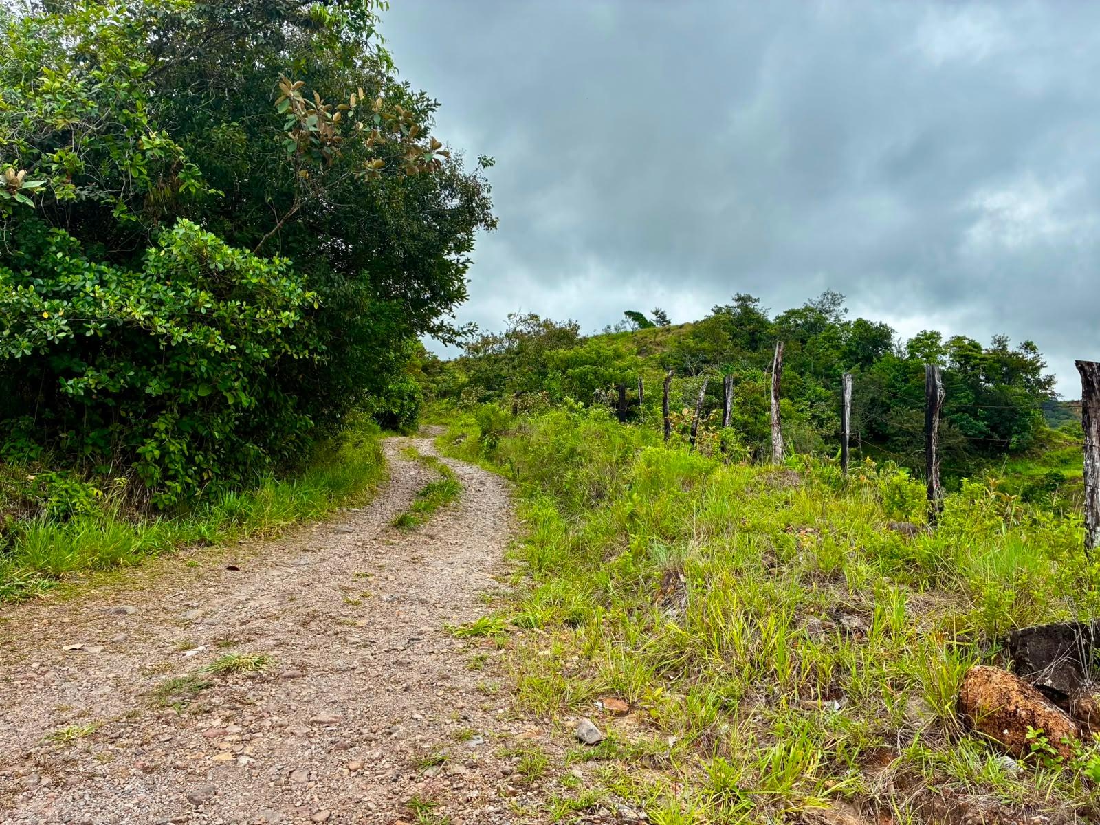 SE VENDE HERMOSA FINCA DE 16+ HECTAREAS EN JARAMILLO, BOQUETE