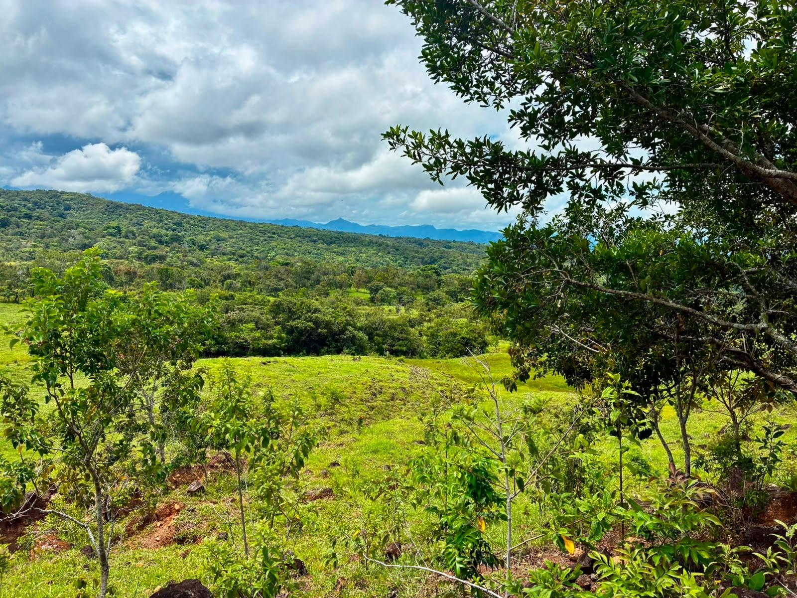 SE VENDE HERMOSA FINCA DE 16+ HECTAREAS EN JARAMILLO, BOQUETE
