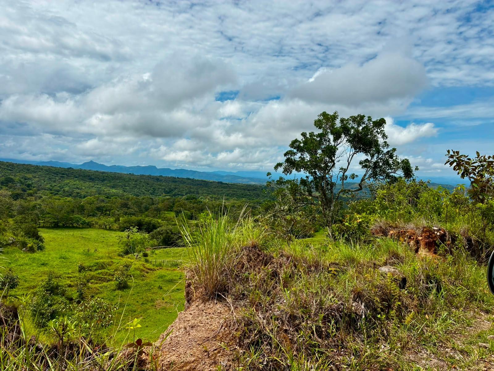SE VENDE HERMOSA FINCA DE 16+ HECTAREAS EN JARAMILLO, BOQUETE