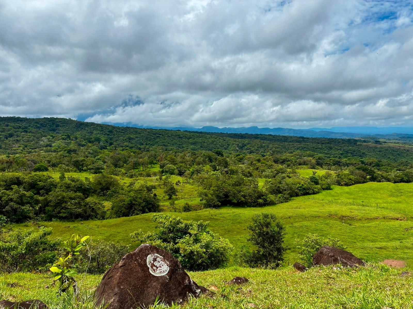 SE VENDE HERMOSA FINCA DE 16+ HECTAREAS EN JARAMILLO, BOQUETE