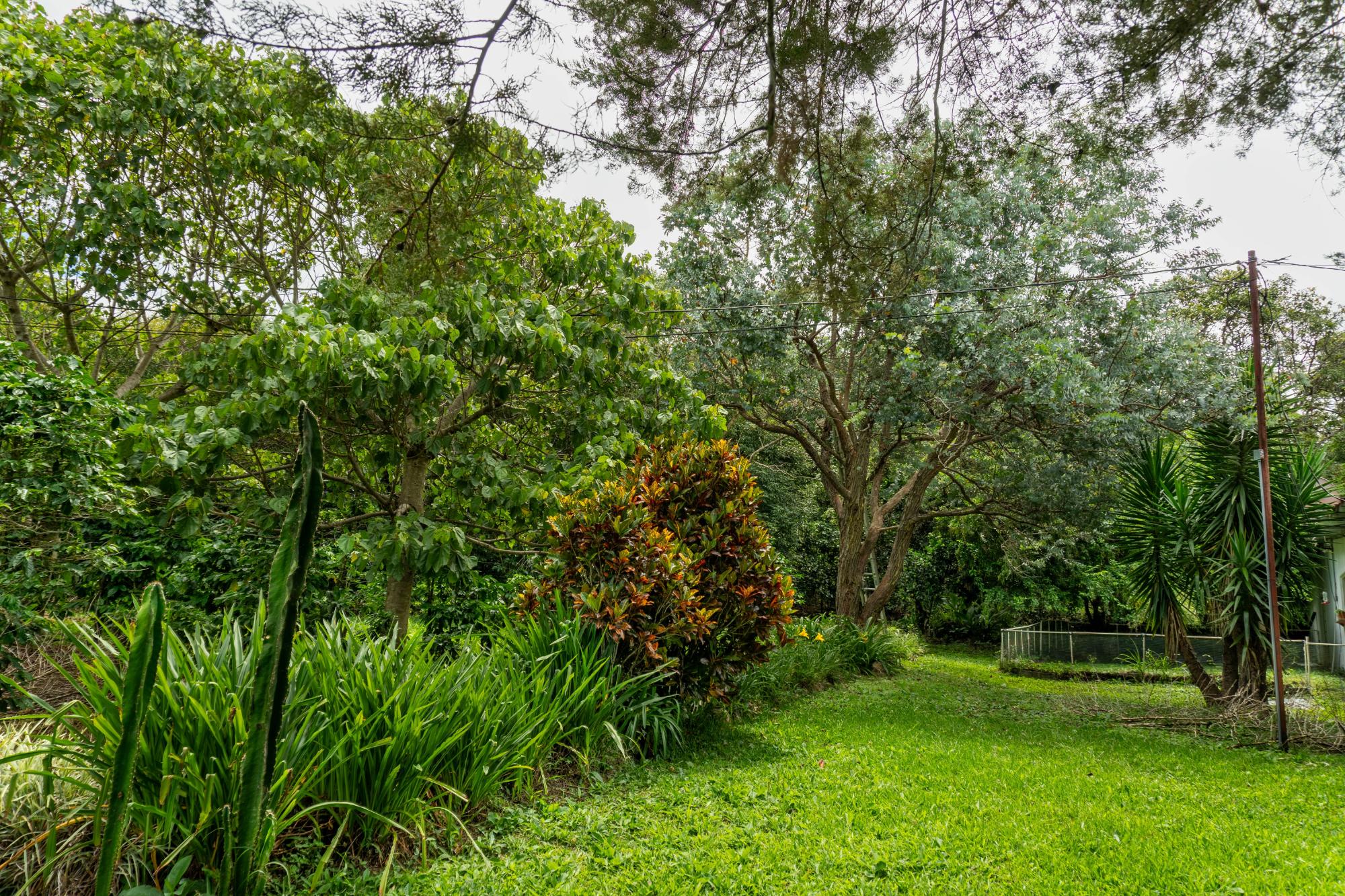 Terrenos de inversión en Boquete, Panamá
