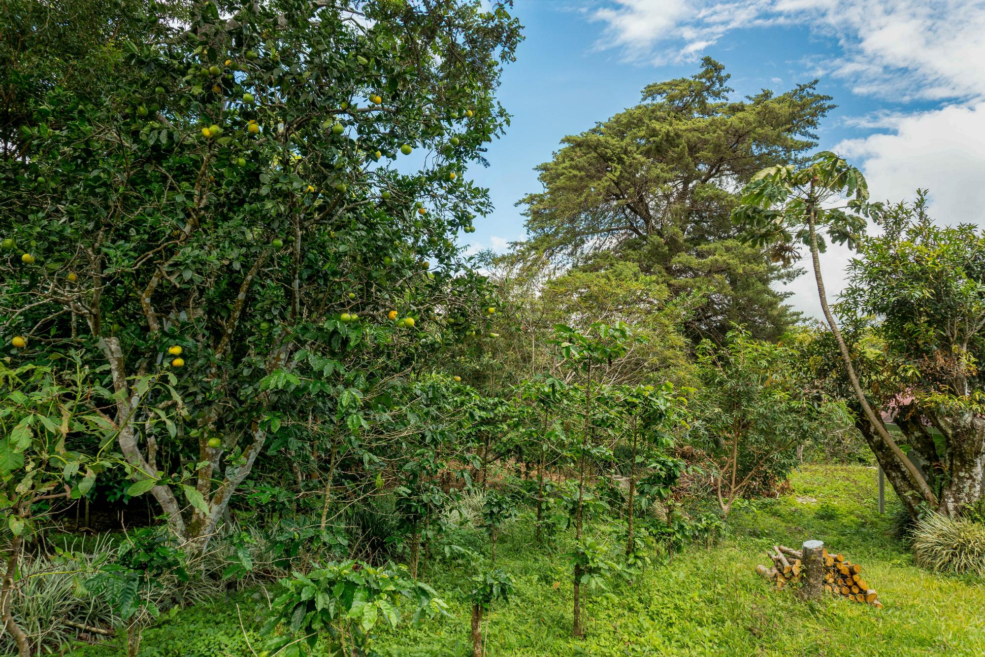 Terrenos de inversión en Boquete, Panamá