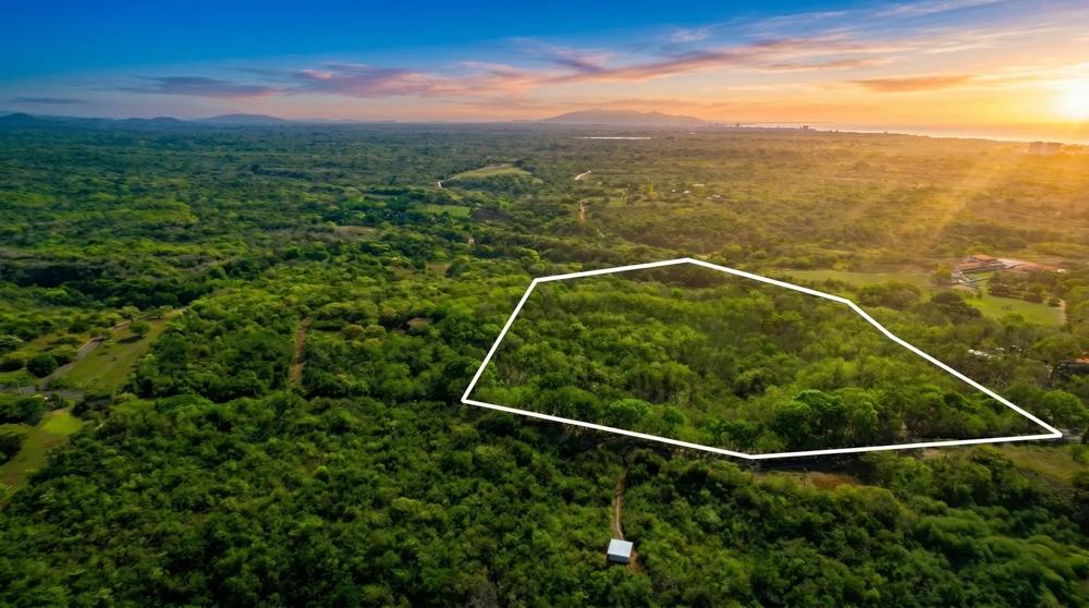 Más de 17 acres de terreno reforestado con acceso al río en las Uvas