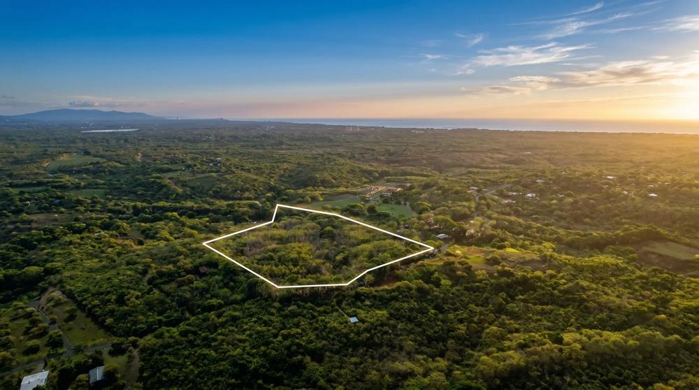 Más de 17 acres de terreno reforestado con acceso al río en las Uvas