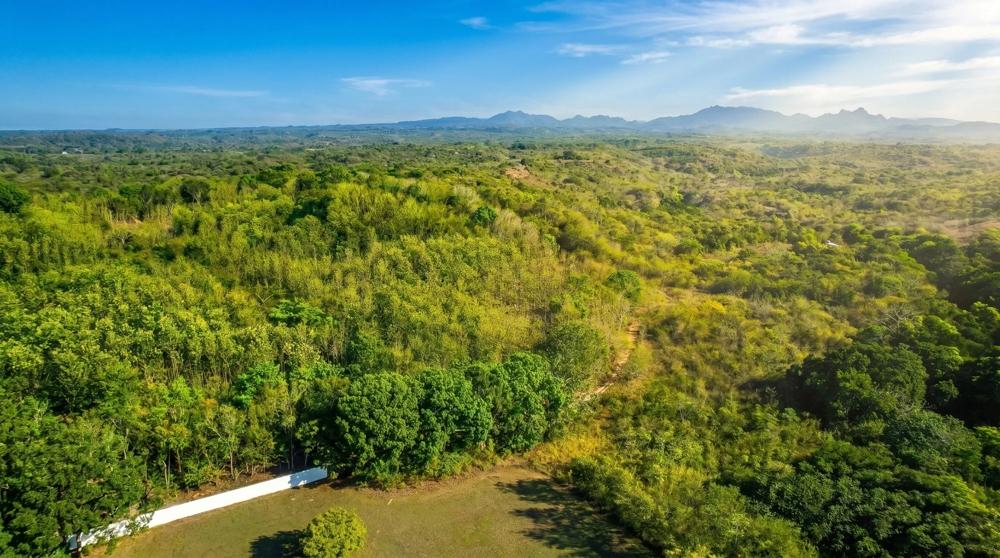 Más de 17 acres de terreno reforestado con acceso al río en las Uvas