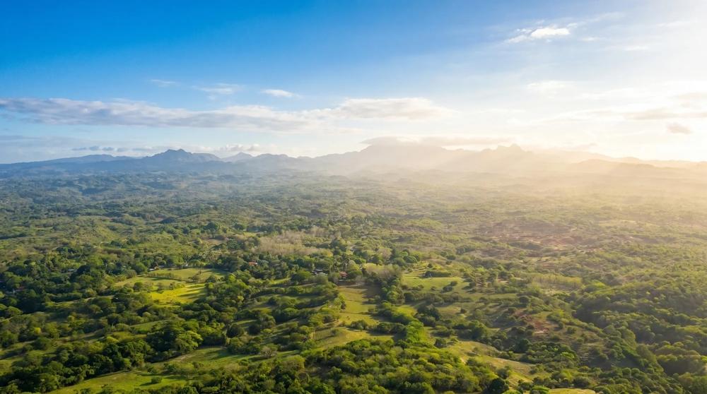 Más de 17 acres de terreno reforestado con acceso al río en las Uvas