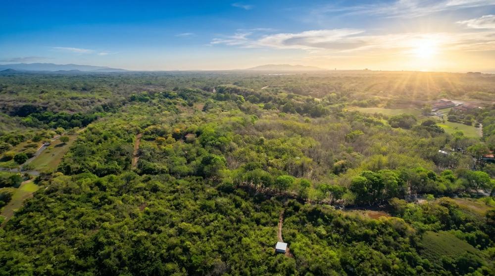 Más de 17 acres de terreno reforestado con acceso al río en las Uvas