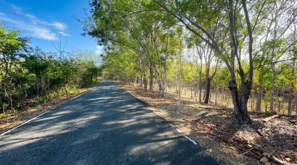 Más de 17 acres de terreno reforestado con acceso al río en las Uvas
