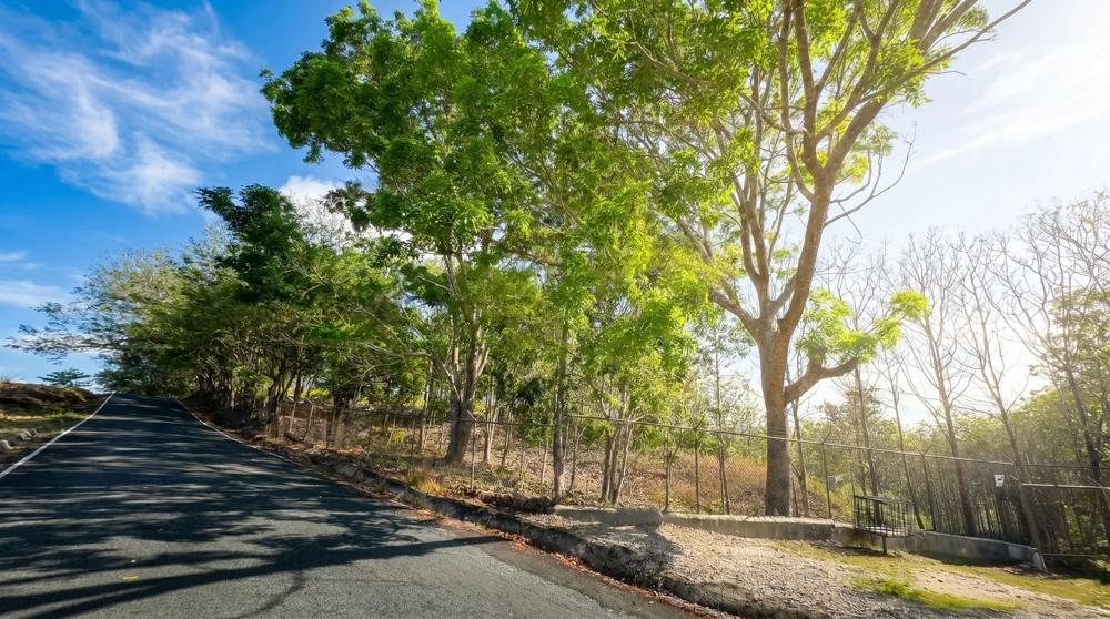Más de 17 acres de terreno reforestado con acceso al río en las Uvas