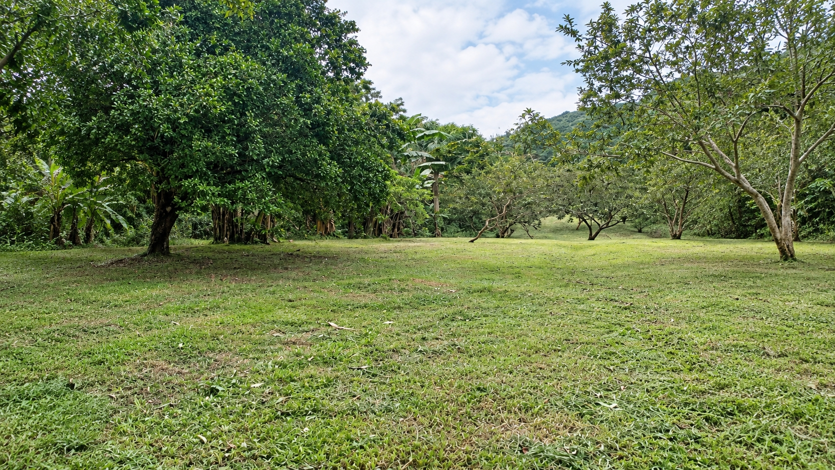 Venta de terreno Ecoturístico a 8km de el pueblo de El Valle de Antón