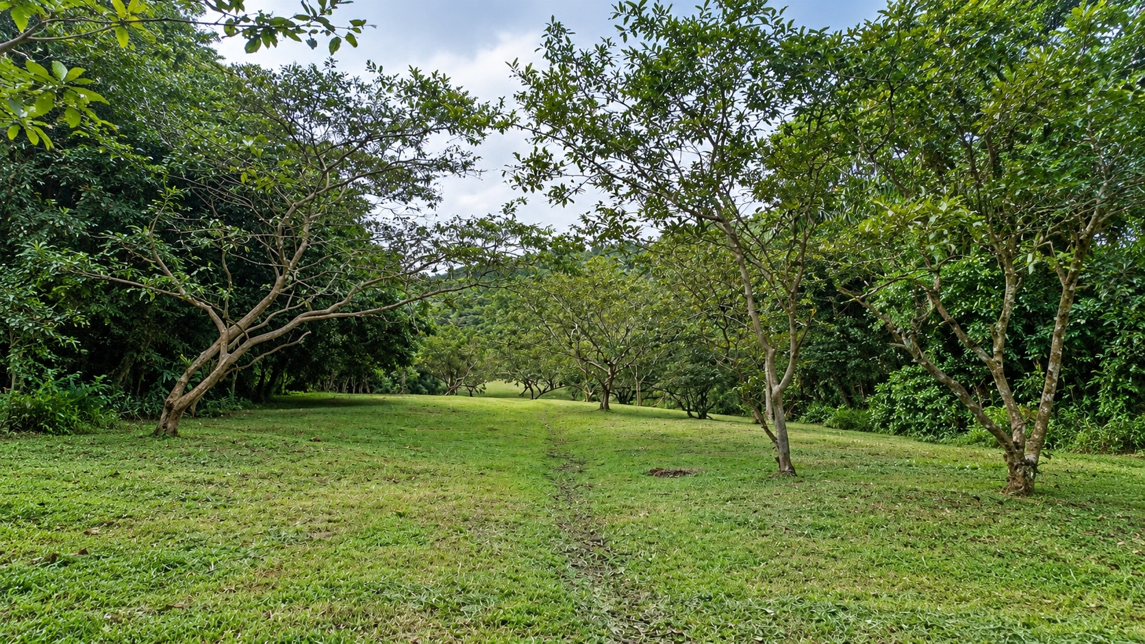 Venta de terreno Ecoturístico a 8km de el pueblo de El Valle de Antón