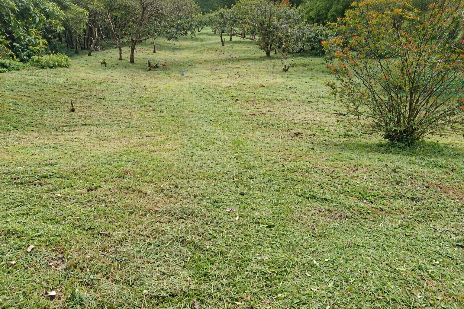 Venta de terreno Ecoturístico a 8km de el pueblo de El Valle de Antón