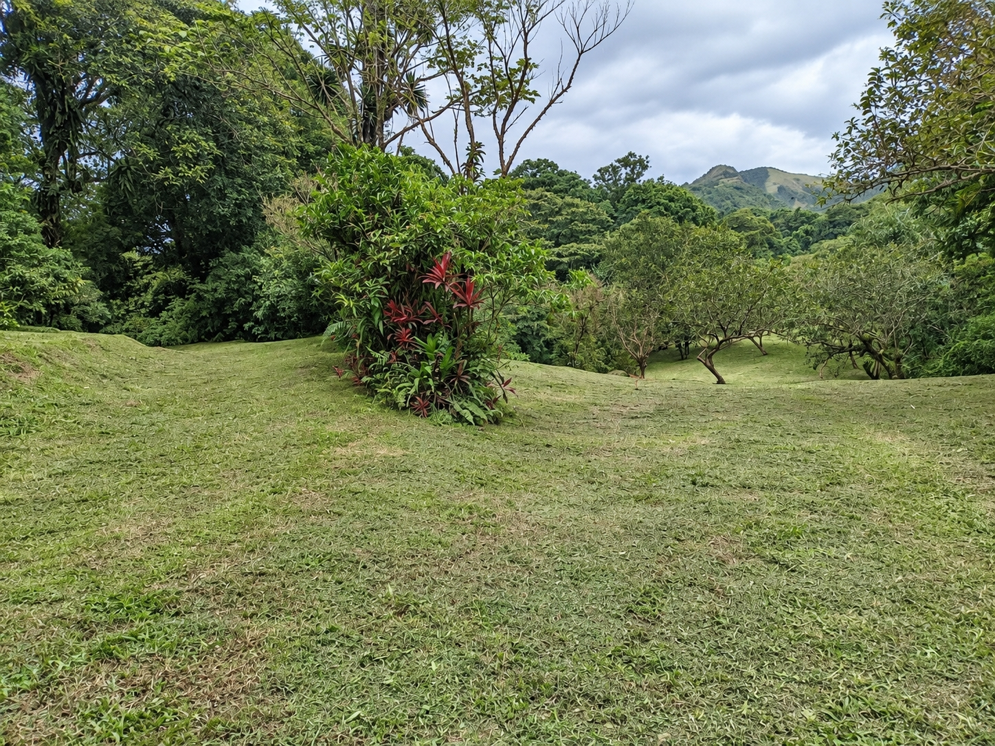 Venta de terreno Ecoturístico a 8km de el pueblo de El Valle de Antón