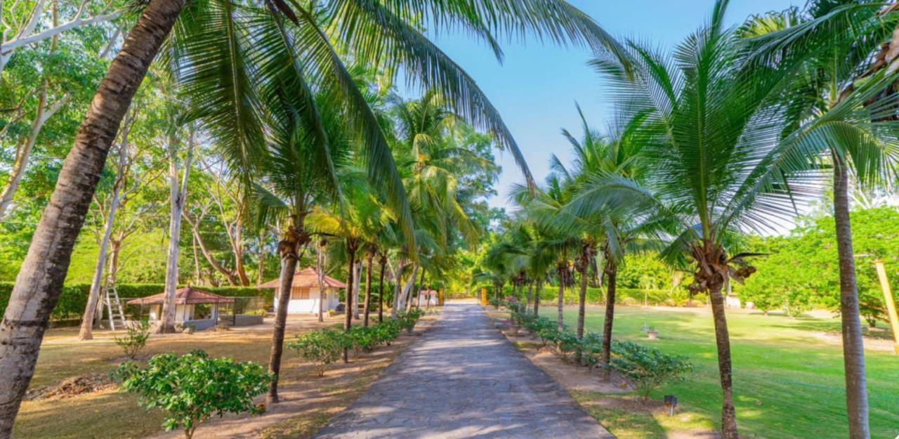 ESPECTACULARES CASAS DE CAMPO EN CHAME CORONADO.