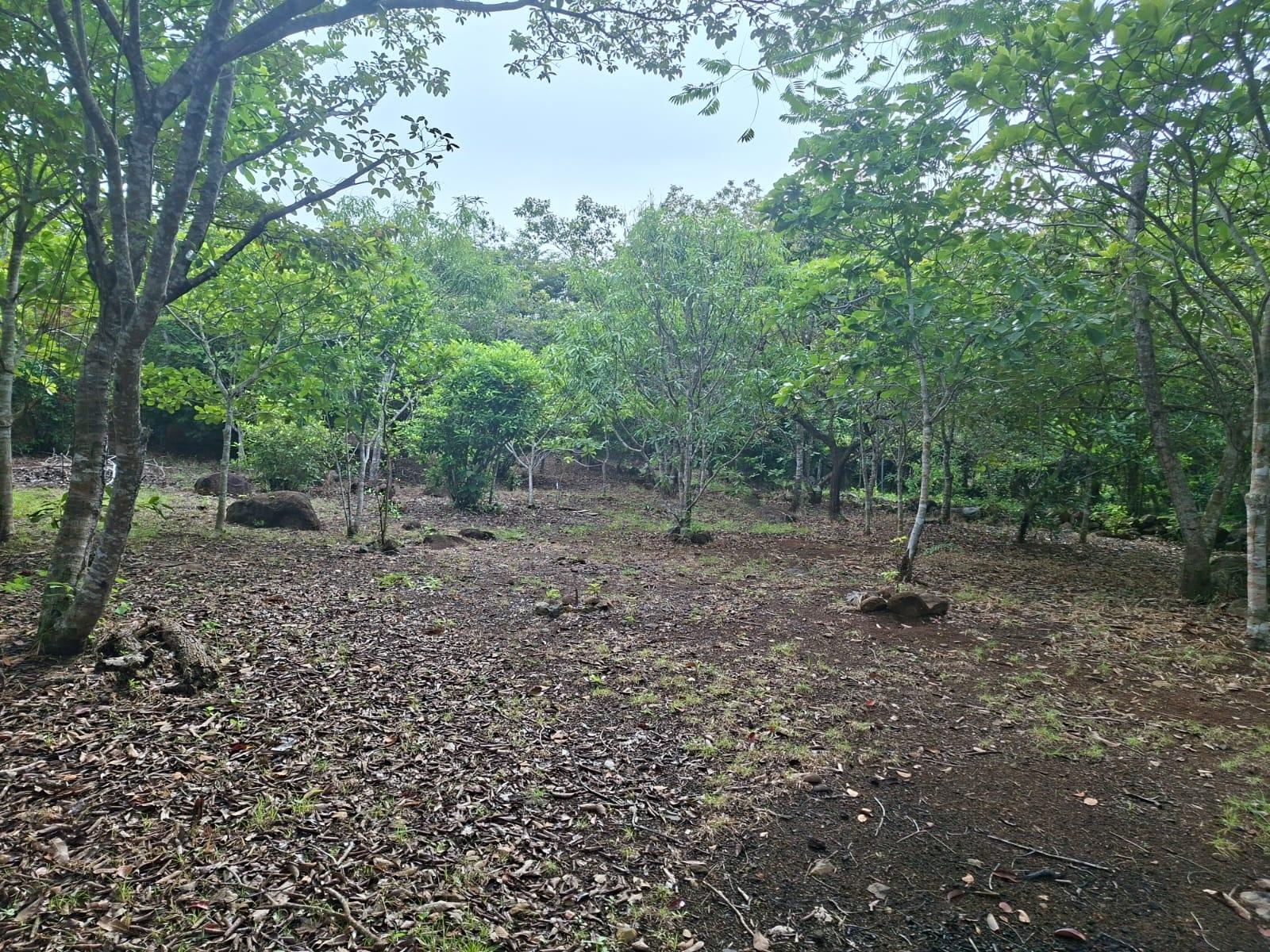 Excelente terreno con mejoras vía El Valle