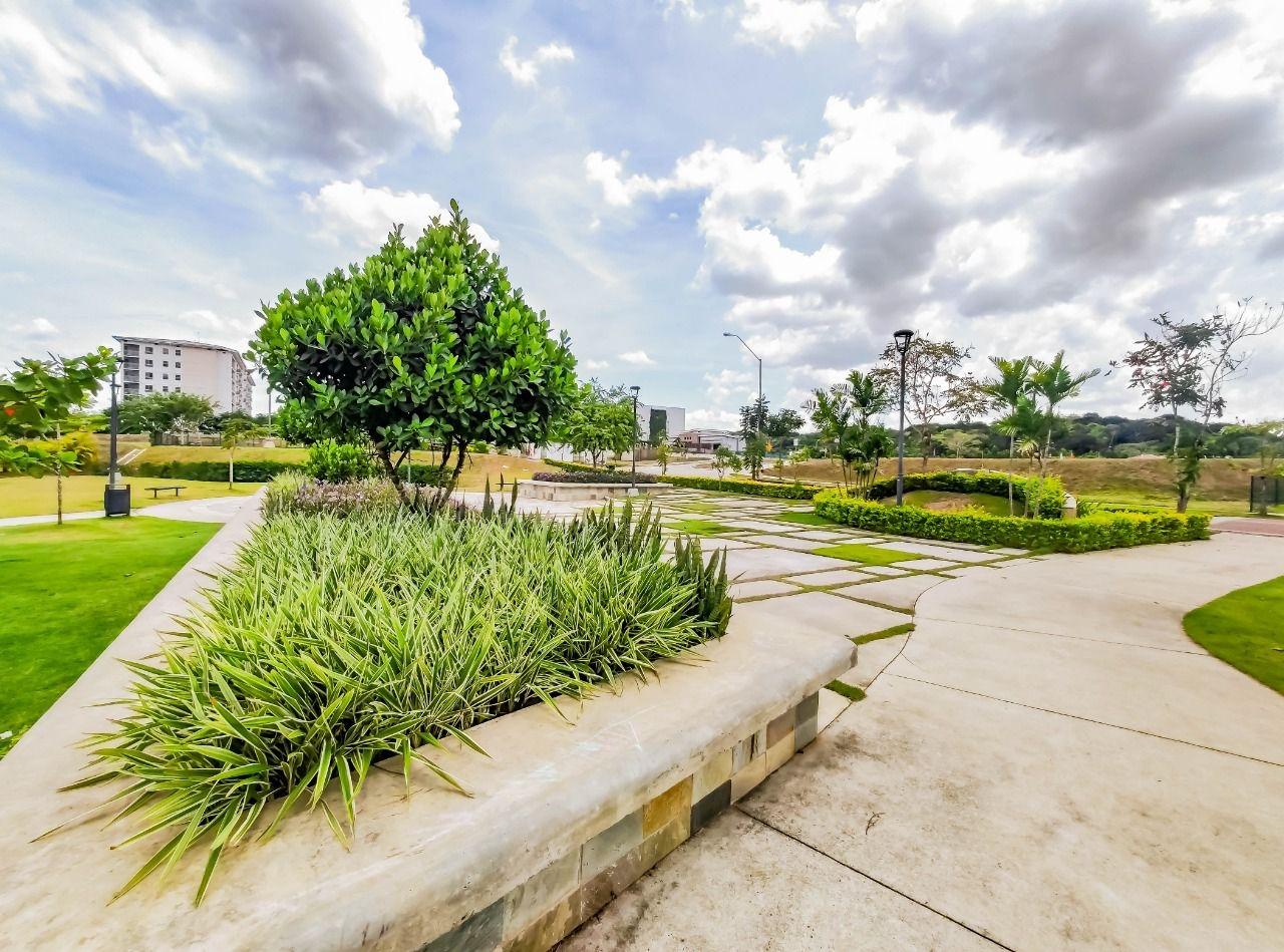 APARTAMENTO EN VENTA PH MIDRISE PANAMA PACIFICO