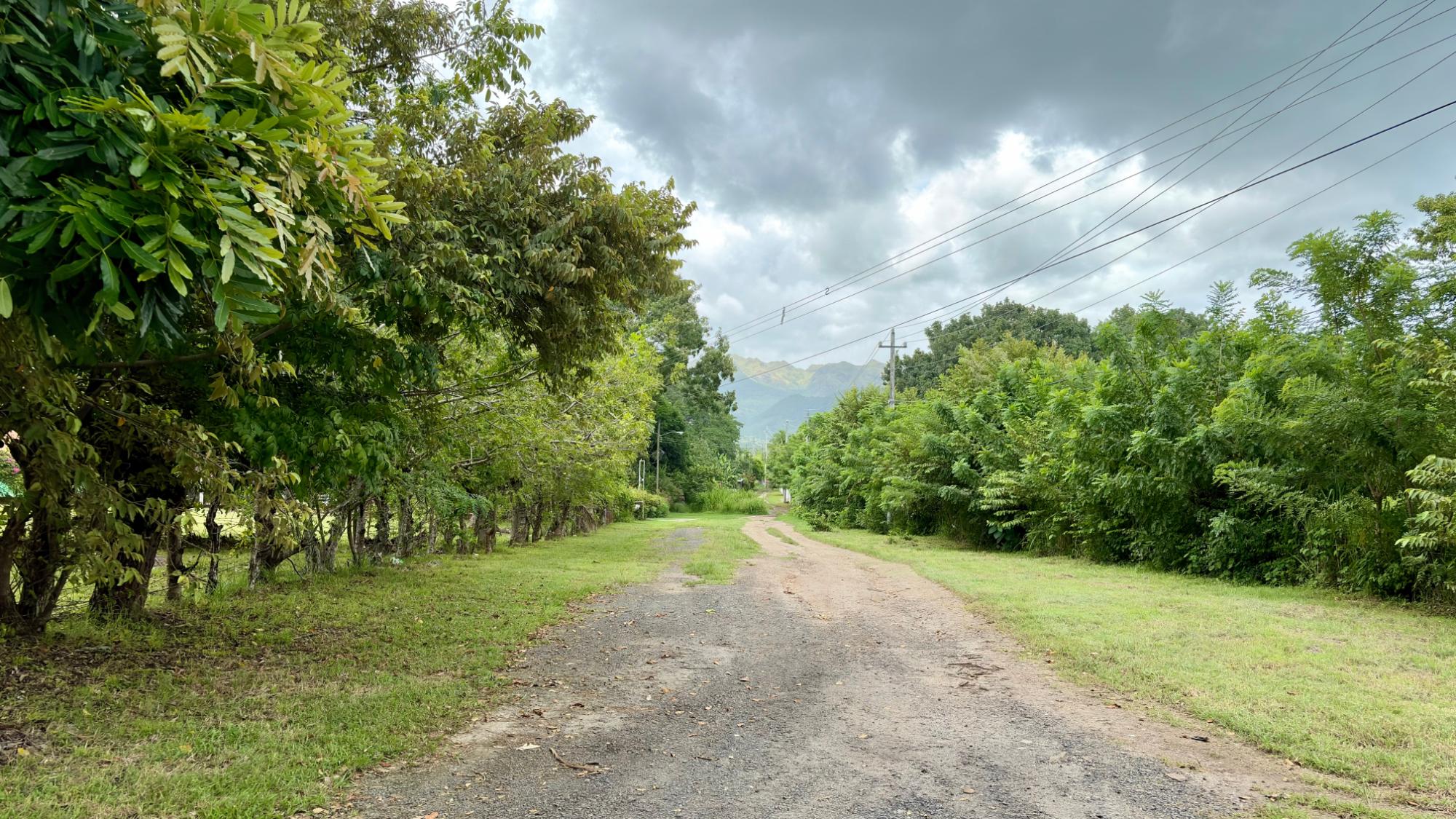 Venta de Terreno 1 en Gorgona