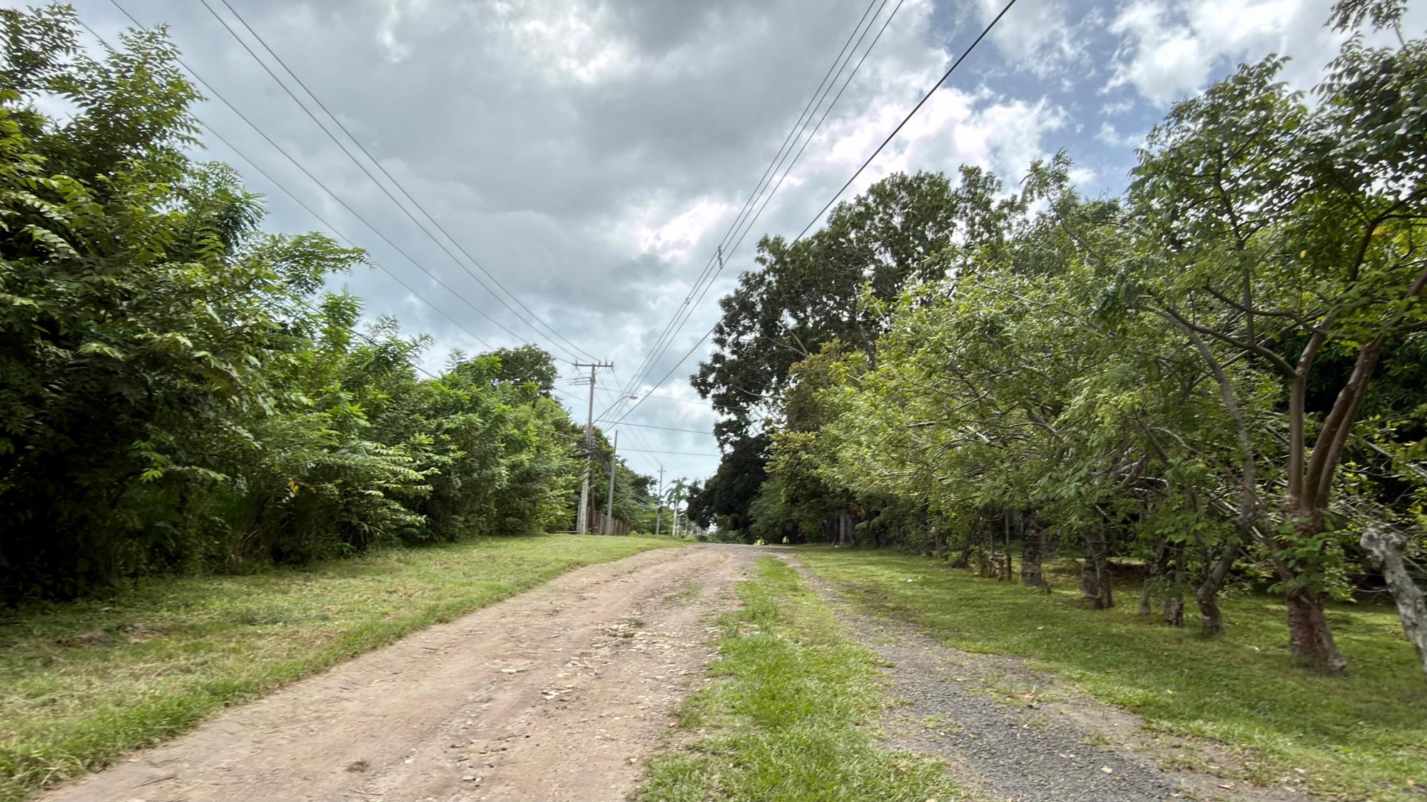 Venta de Terreno 1 en Gorgona