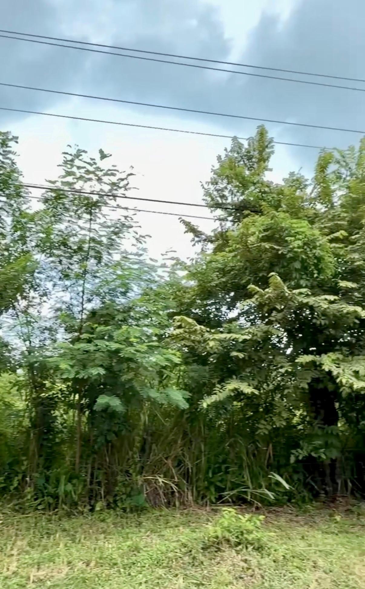 Venta de Terreno 1 en Gorgona