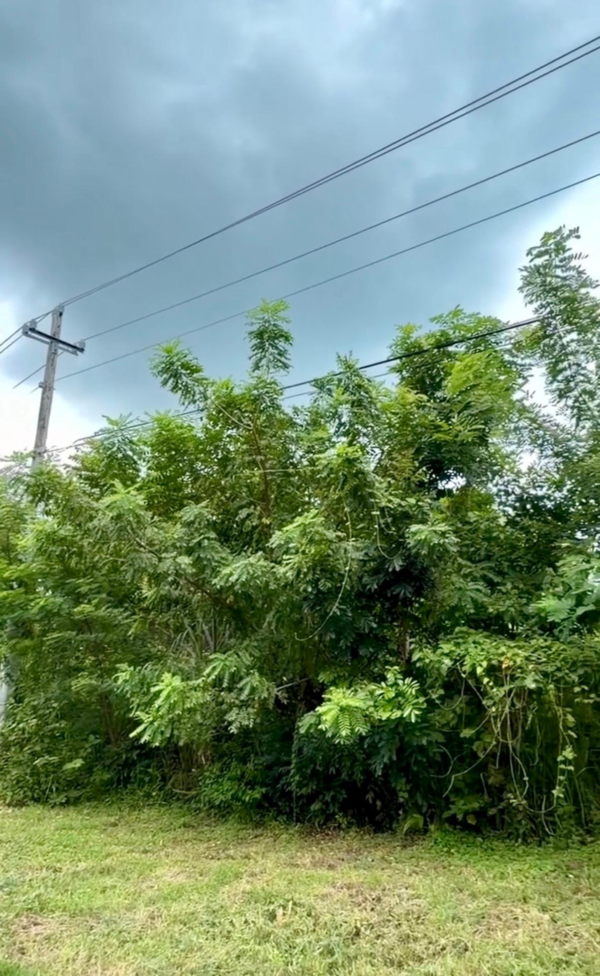 Venta de Terreno 1 en Gorgona