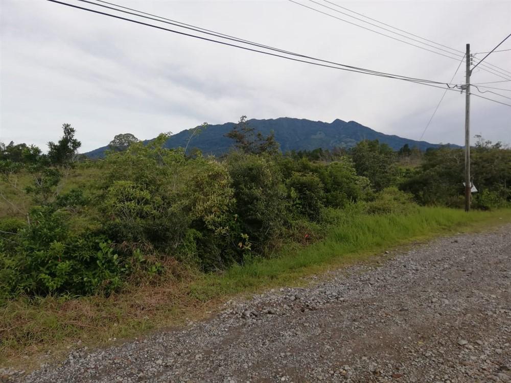 Amplios 5 Hectáreas en Venta en Alto Boquete