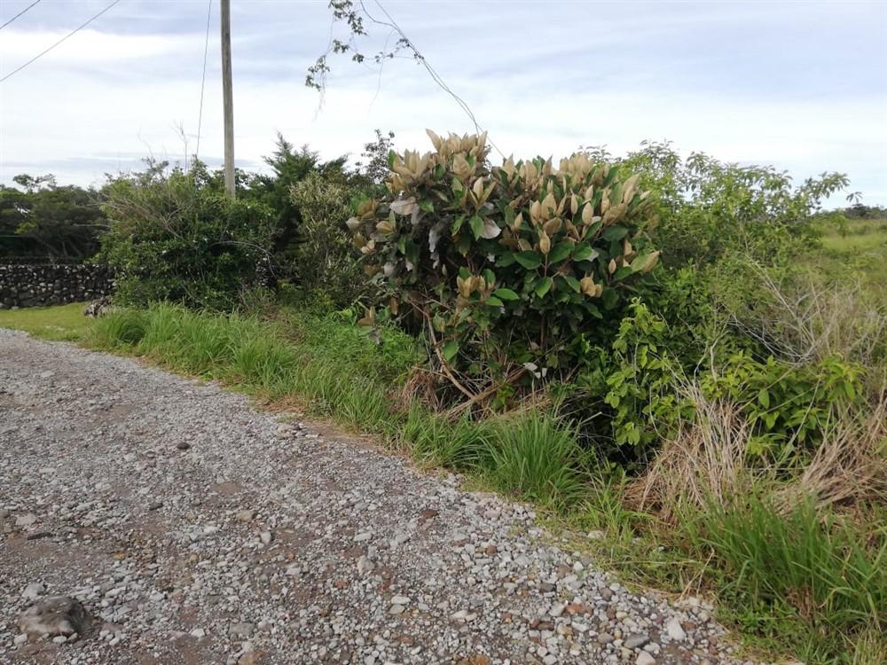 Amplios 5 Hectáreas en Venta en Alto Boquete