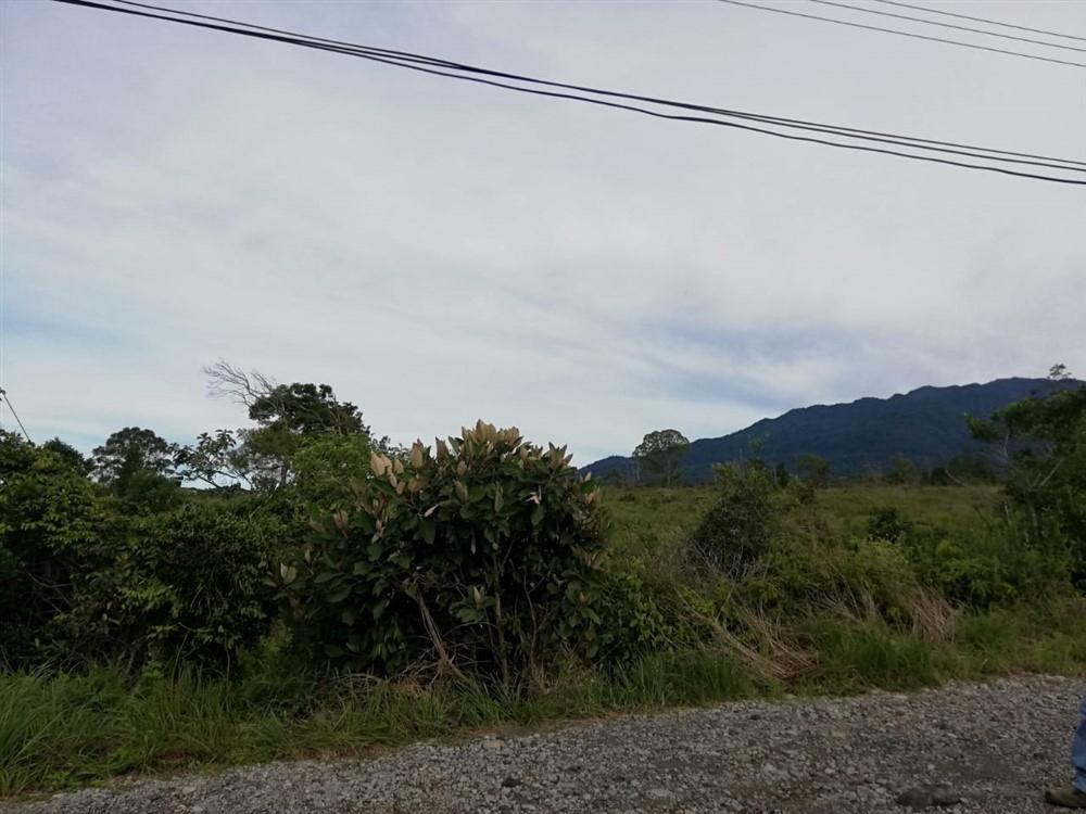 Amplios 5 Hectáreas en Venta en Alto Boquete