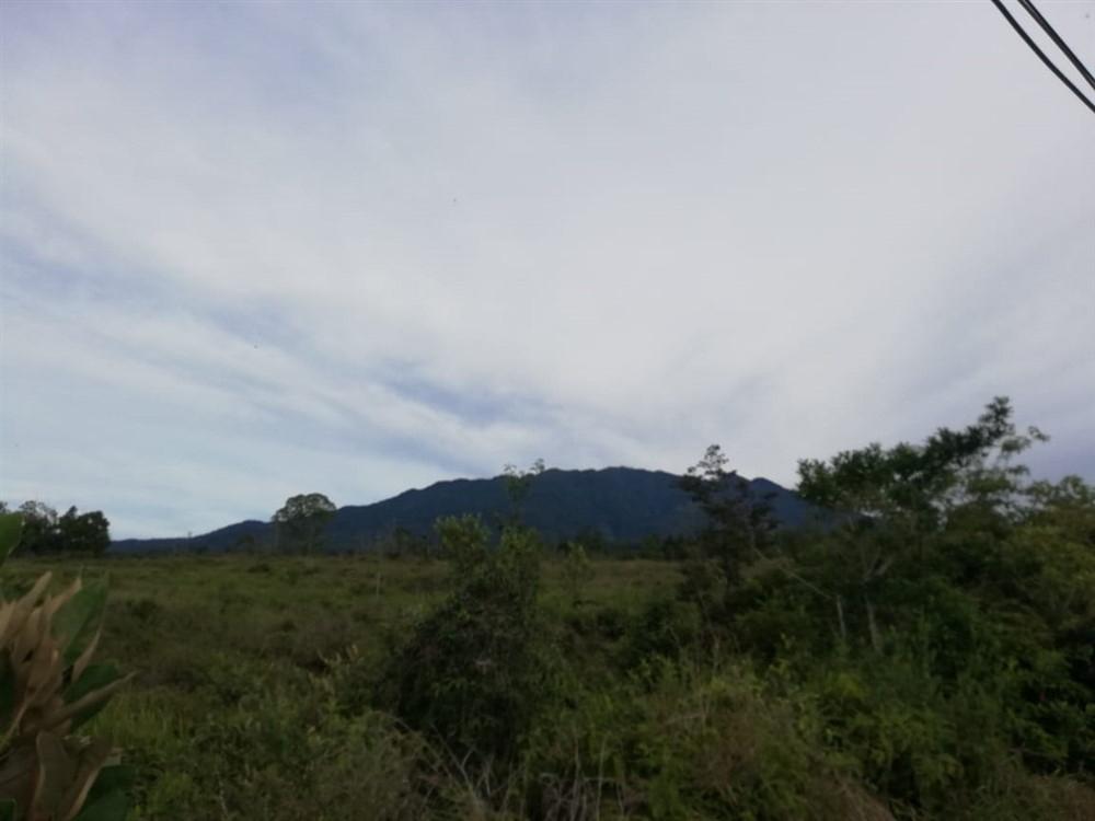 Amplios 5 Hectáreas en Venta en Alto Boquete
